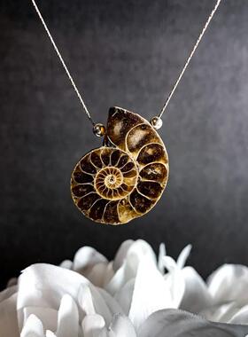 美国代购Ammonite㊣ 手作华丽简约精致菊石化石吊坠925纯银项链