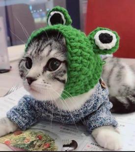 knitted㊣美国代购 手作迷人可爱猫咪宠物配件手工针织毛线帽子