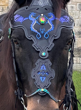 美国代购Bridle▼手作手绘压花变色紫色龙宝石皮革柔软舒适马缰绳