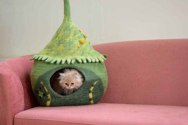 尼泊尔代购House㊣ 手作简约舒适绿色羔羊羊毛毛毡小猫屋猫洞猫窝