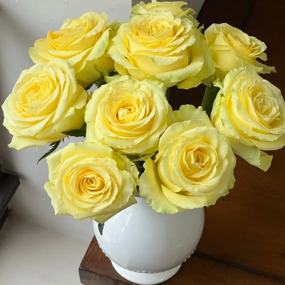 精品花材浪漫沙滩玫瑰花鲜切花