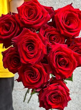 厄瓜多尔进口高端花材鲜花家用速递explorer探险家玫瑰花10支送礼