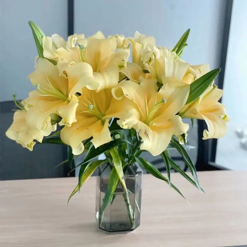 黄帝香水百合精品花卉鲜切花热卖