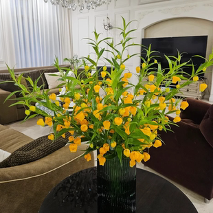 日本进口花材鲜花速递香港澳门全国宫灯百合家庭用花办公室插花