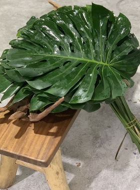 同城甄选精品花材龟背叶鲜切花配草全国速递精品家庭插花1扎