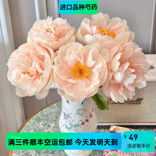 进口品种牡丹芍药花顺丰三件包邮