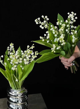 进口品种婚礼手捧花白色铃兰花