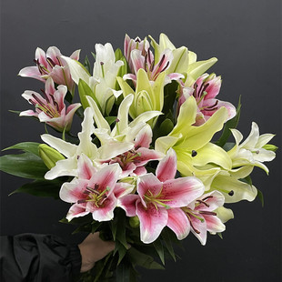 同城甄选精品鲜花速递全国百合花鲜切花家庭用花热卖多色选择