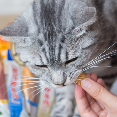 仁可物 CI伊AO纳259宝妙宠好烤鲣猫零鱼食鱼干鱼柳奖励猫条肉干4