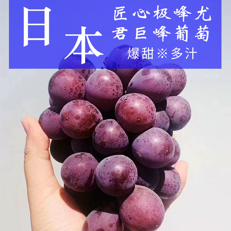 匠心新鲜香甜多汁一箱巨峰葡萄