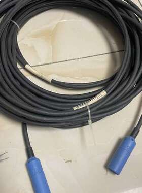 议价EH EndressHauser   电极线  10米