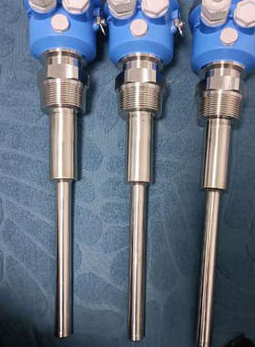 议价全新正品EH音叉料位计恩格斯豪斯FTM20-AG22A