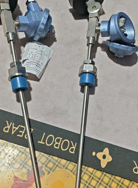 议价WTDY温度计带PT100全新库2个80