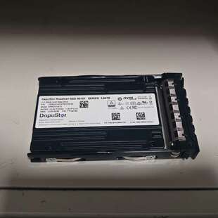 3.84T R5101 DPRD3104T0T 大普微 议价全新