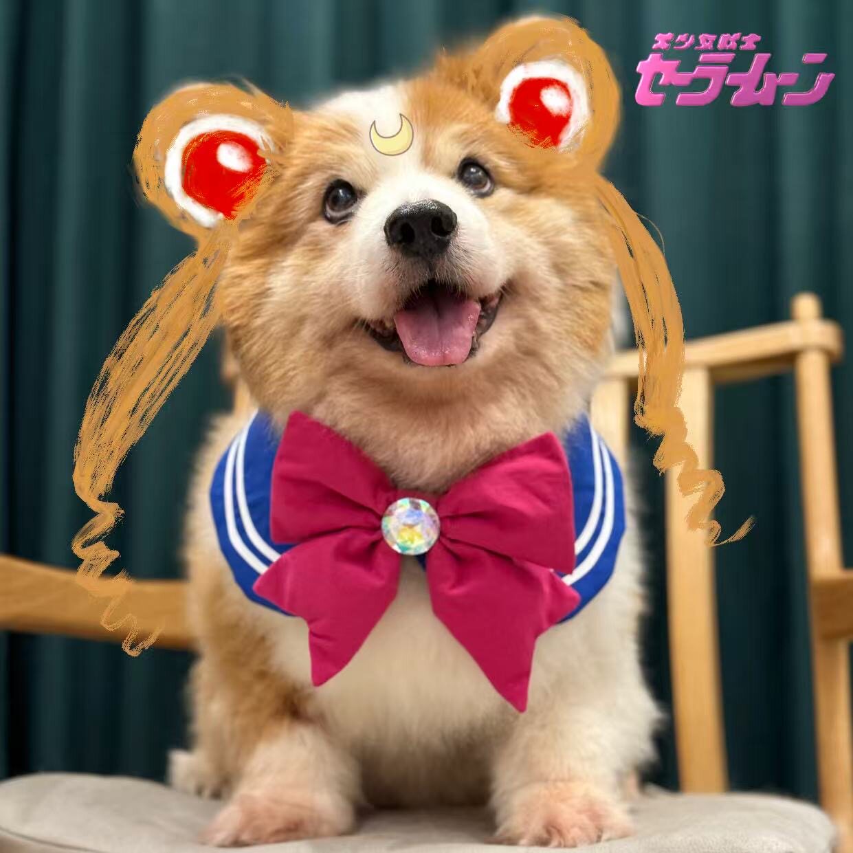 Littleboxx柯基波波手作美少女cos宠物口水巾围兜装饰小中大型犬