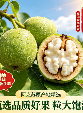 2026年新疆阿克苏185纸皮新鲜湿核桃去青皮嫩黑核桃带绿皮生孕妇