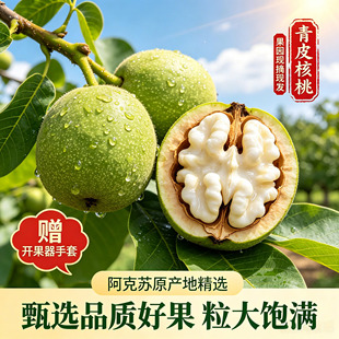 2026年新疆阿克苏185纸皮新鲜湿核桃去青皮嫩黑核桃带绿皮生孕妇