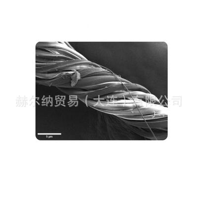 英国Qourum电镜Quorum样品制备镀膜机期P3P010货保障 供货快