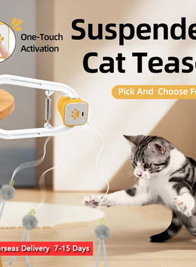 Electric Cat Teaser–Interactive Door Clip Teaser for Cats