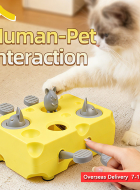 Pet Toy Eating While Playing Cat Feeder Cheese Whack-a-Mole