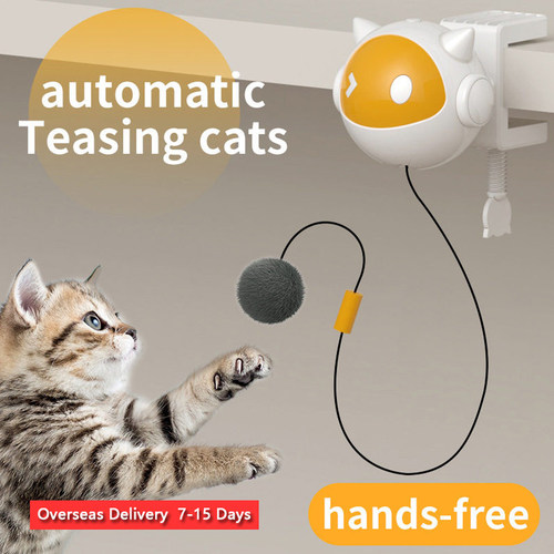 ElectricDog&CatToyBall