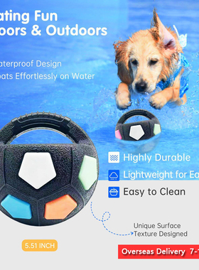 Soccer Ball With Handle For Pet Interactive Dog Ball Toy