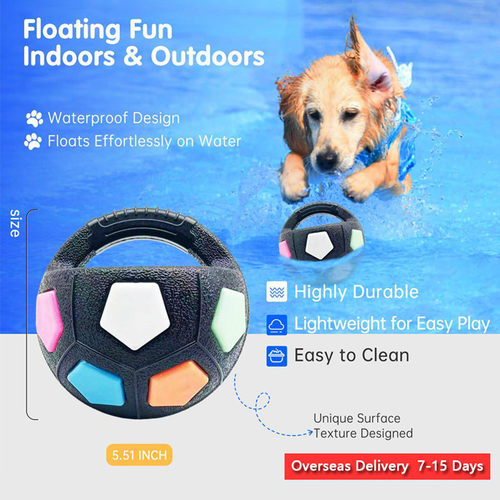 InteractiveDogBallToy
