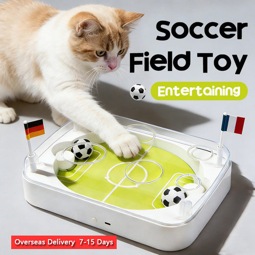 Self-EntertainmentCatToy