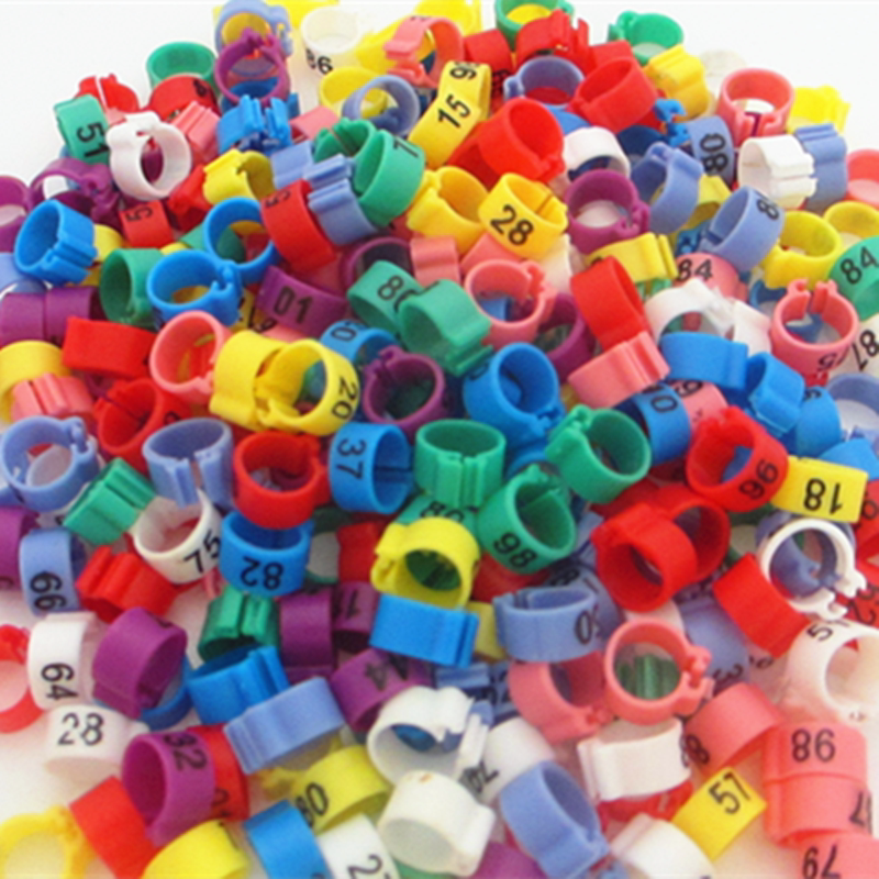 鸽子套环马克数字识别刻字足环卡环鹦鹉信鸽脚环内径8mm 鸽具用品