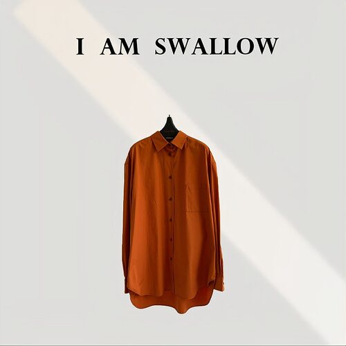 【A/M Swallow】意大利全棉衬衫W-1099#6772