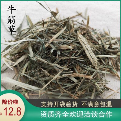 中药材 干货牛筋草 蟋蟀草 路边草 鸭脚草 千斤草 500克包邮