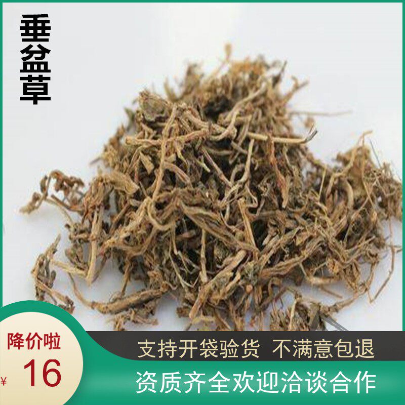 垂盆草 狗牙草 天然纯新货 中药材 锤盆草 无硫 老鼠芽 500克包邮