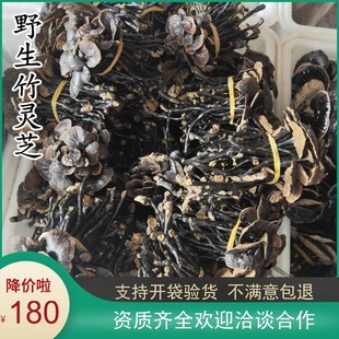 野生云南竹灵芝林芝野生灵芝片纯天然紫芝整枝带柄散装1斤装500克