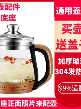 通用小熊养生壶单壶配件18Z1