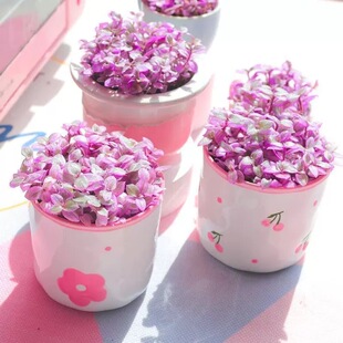 胭脂云多肉植物带黑色方盆防辐射室内阳台精品绿植盆栽