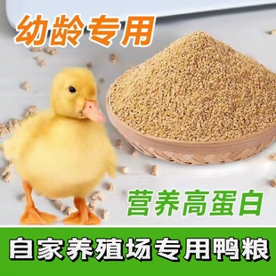 自家养殖场专用柯尔鸭粮小鸭子饲料喂鸭专用宠物柯尔鸭小黄鸭子