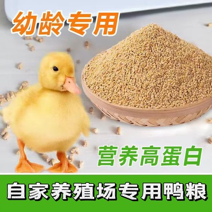 自家养殖场专用柯尔鸭粮小鸭子饲料喂鸭专用宠物柯尔鸭小黄鸭子