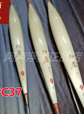 阿卢立式芦苇抗风浪浮漂