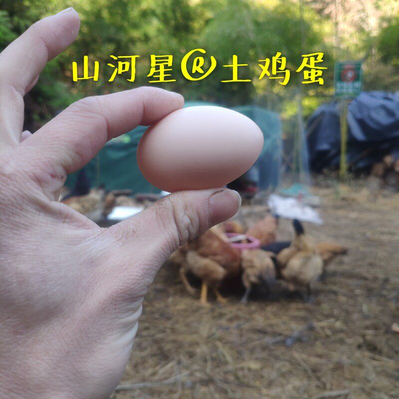 山河星新鲜土鸡蛋草鸡蛋农家农村母婴生鲜宝宝鸡蛋柴鸡蛋30枚福建