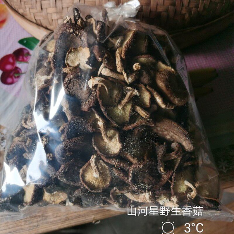 山河星野生香菇金钱菇蘑菇食用菌冬菇干货福建原始森林椴木头 1斤