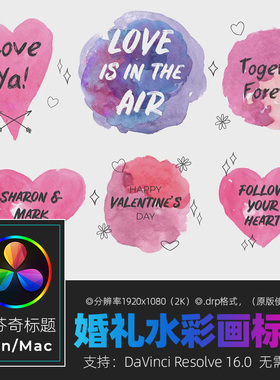 达芬奇RESOLVE 16 Watercolor Titles浪漫婚礼视频标题字幕素材