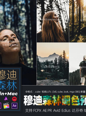 PE/AE/FCPX/达芬奇/Edius穆迪森林调色预设滤镜视频素材win/mac