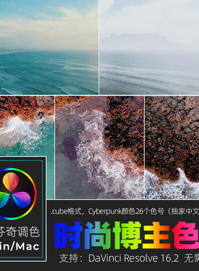 达芬奇调色预设 RESOLVE16 时尚博主时尚咖啡奶油色调预设ae/fcpx