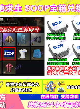 PUBG绝地求生SOOP直播掉宝宝箱白T恤吃鸡赛博口罩名片CDK兑换码
