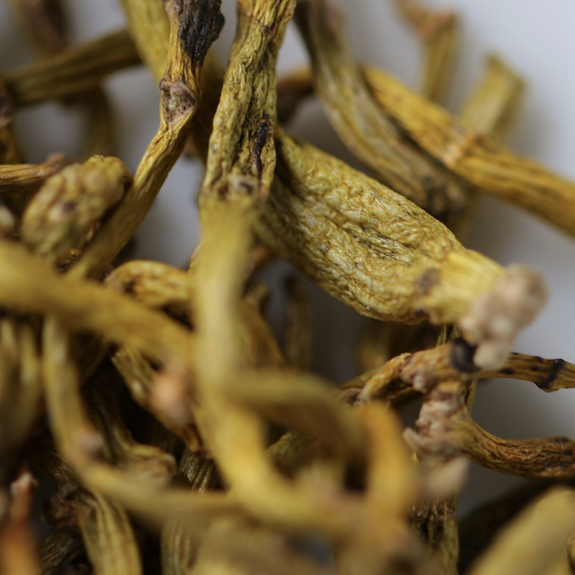 半闲甄选掌柜自留霍山石斛滋阴煮水煲汤生嚼民间古法改善调理滋补