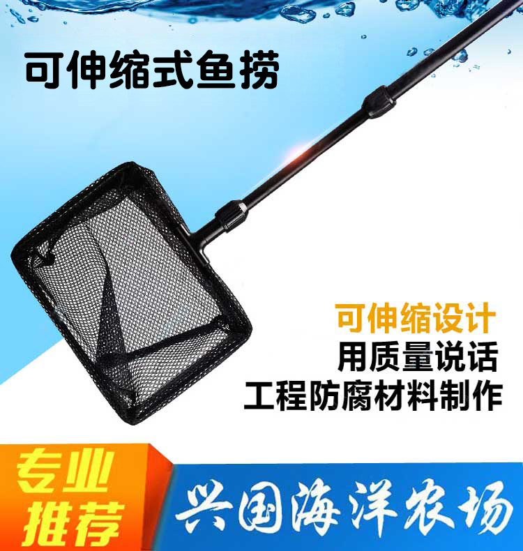 可伸缩式鱼捞 网捞 渔捞水族网捞鱼网兜方形渔捞海缸水族VASTOCEA