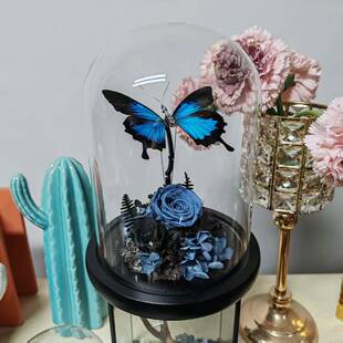天堂凤蝶绿带翠凤蝶机械会动真蝴蝶标本玻璃罩摆件手工礼物