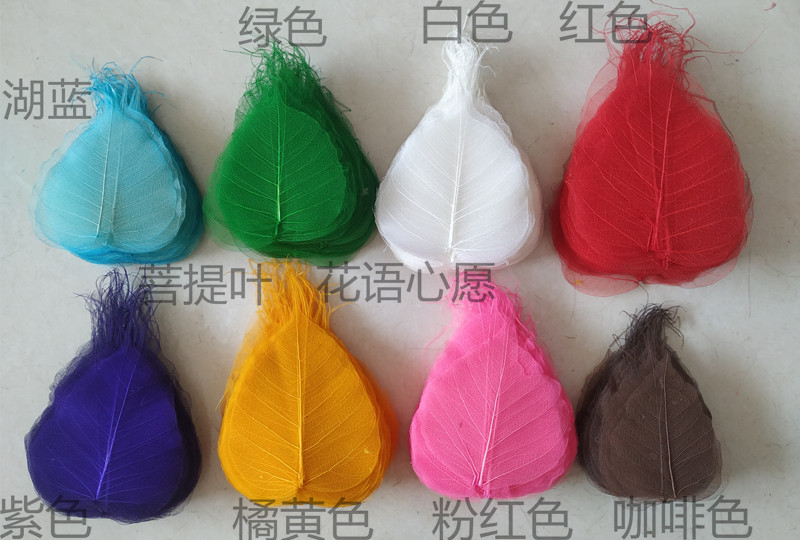 菩提叶 禅意叶脉 滤茶 摆画书签绘画装饰叶子 天然树叶花语心愿