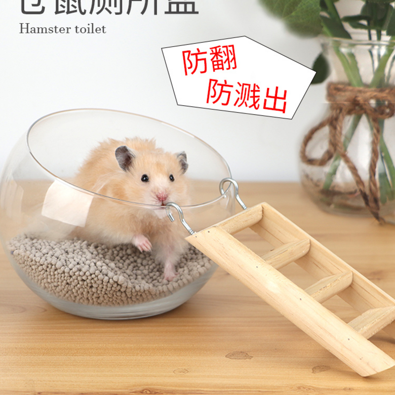 新款仓鼠厕所透明玻璃浴室洗澡房大号金丝熊尿砂盆笼子造景用品