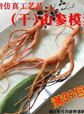 仿真野山参模型橱窗摆件拍摄道具